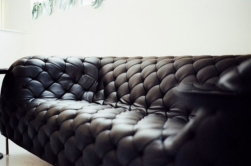 14 Couch Colors South Carolinians Are Slowly Phasing Out - Decor Hint Black