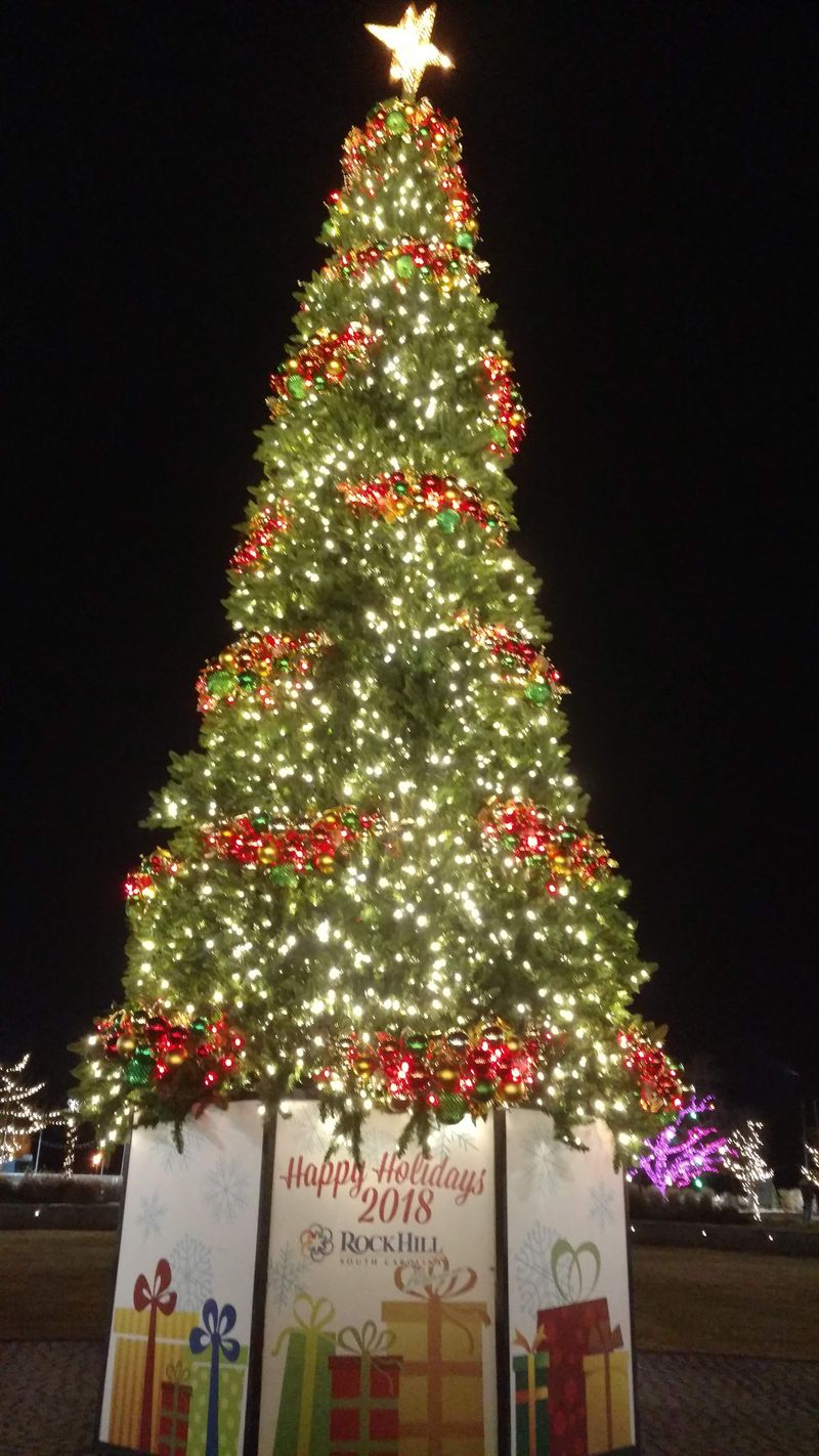 South Carolina Craft Fairs That Will Completely Transform Your Holiday Shopping - Decor Hint Good Local Christmas Market