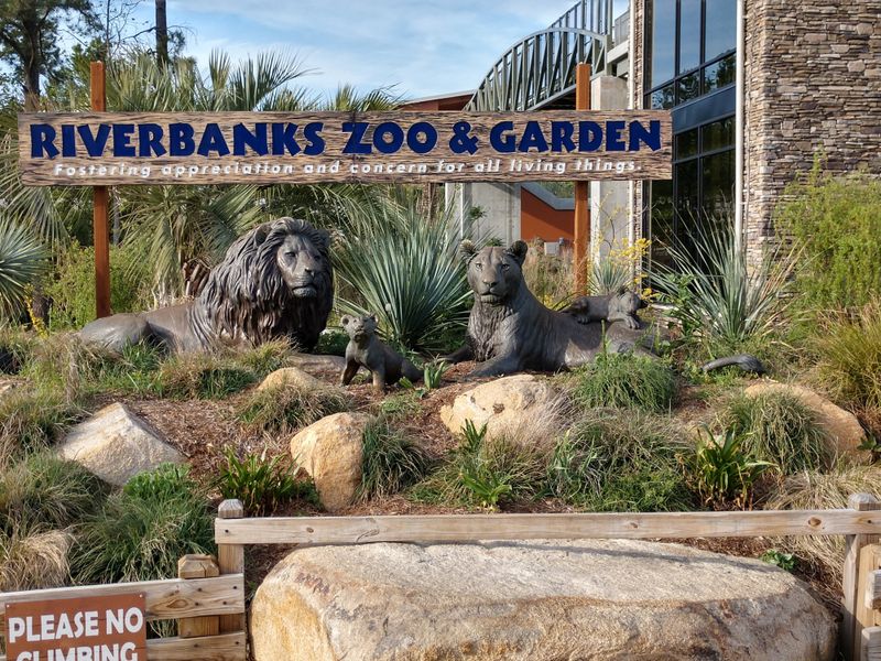 South Carolina All-You-Can-Eat Buffets That Keep Drawing Crowds - Decor Hint Riverbanks Zoo Cafe Buffet