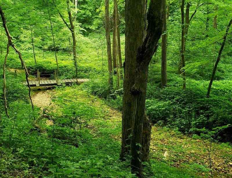 Hollandale Is Madison's Most Overlooked Countryside Gem Here Are 12 Things Worth Seeing - Decor Hint Brigham County Park