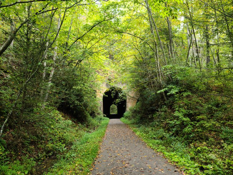 12 Virginia Train Journeys That Showcase Scenic Wonders - Decor Hint Guest River Gorge Trail