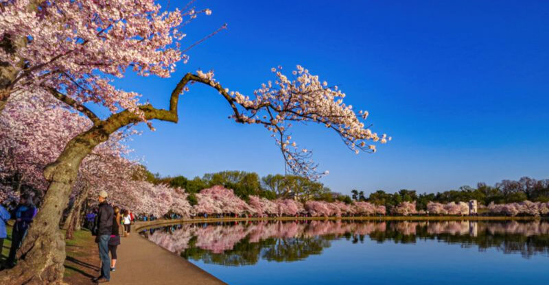 New Year New Experiences Shaping The Biggest Travel Trends Of 2026 In Washington D.C.