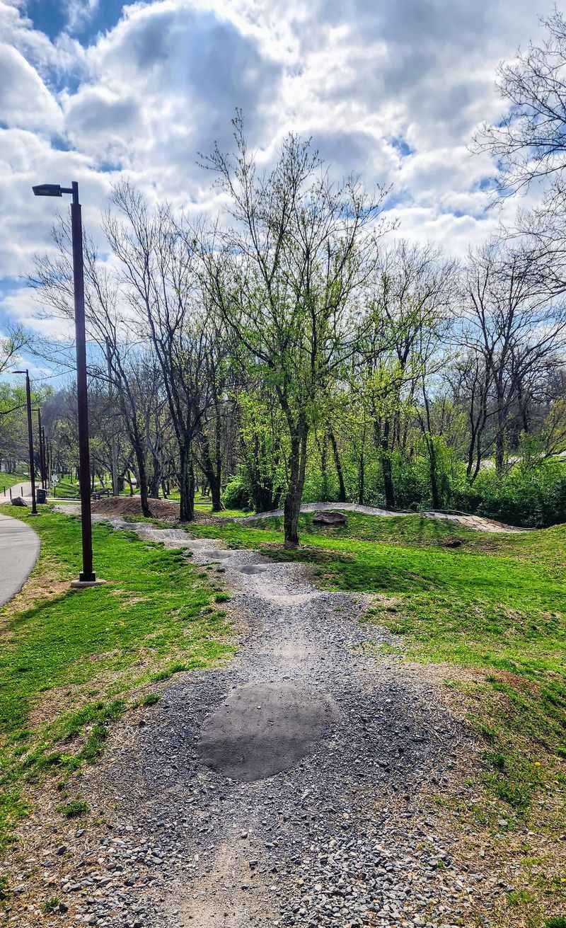 Explore Washington Spokane's Oldest Neighborhood With The Browne's Addition Walking Tour - Decor Hint Urban Wilderness Hike
