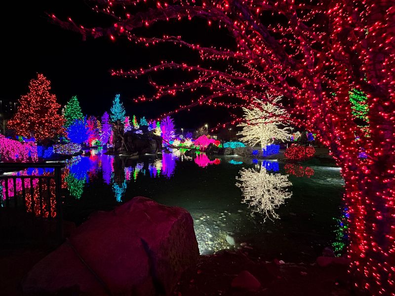 Washington's Most Jaw-Dropping Christmas Yard Displays - Decor Hint Marysville Holiday Lights Display
