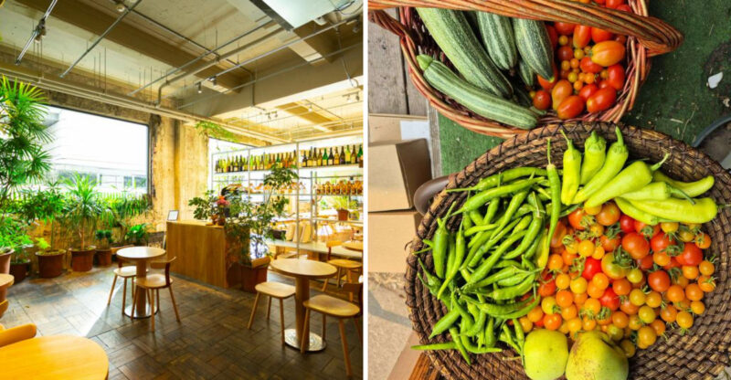 Oregon Restaurants Are Rethinking Dining In 2026, One Sustainable Choice At A Time