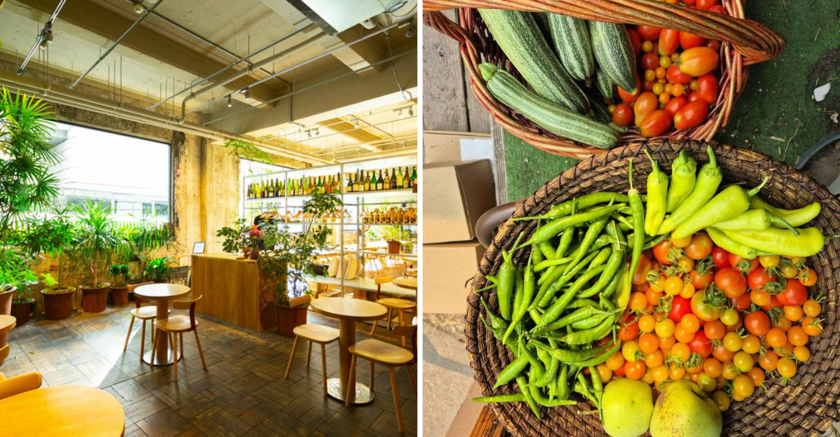 Oregon Restaurants Are Rethinking Dining In 2026 One Sustainable Choice At A Time - Decor Hint