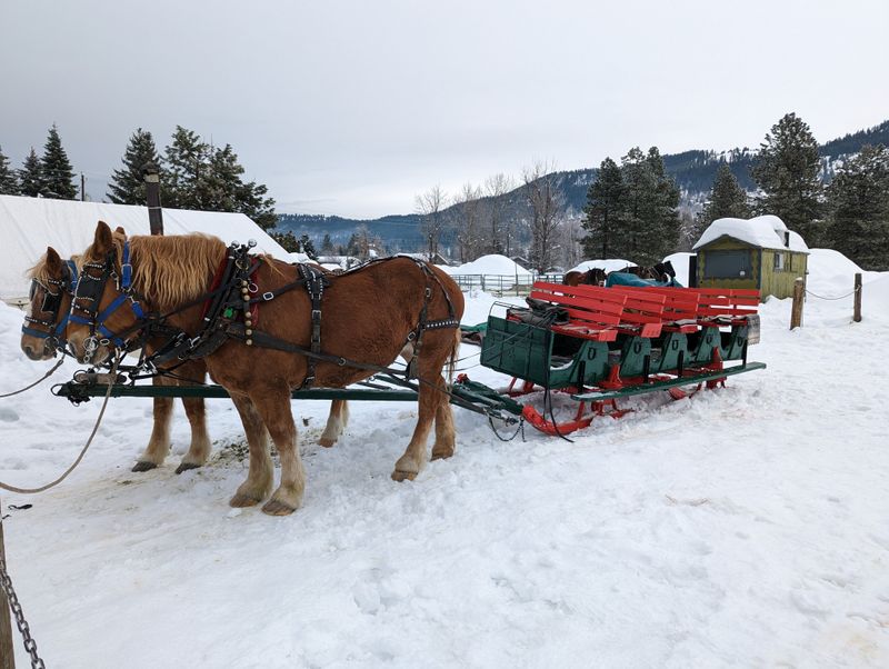Horse-Drawn Carriage Rides Add Old-Fashioned Romance To Leavenworth
