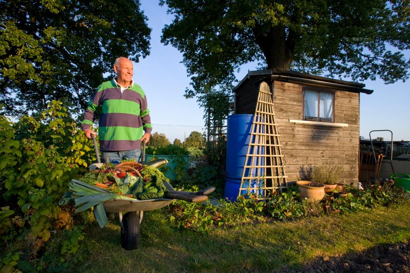 Outdoor Structures Built Without Permits