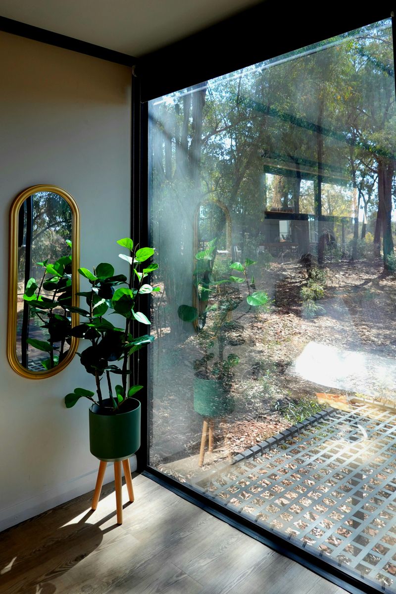 Artificial Topiary Trees