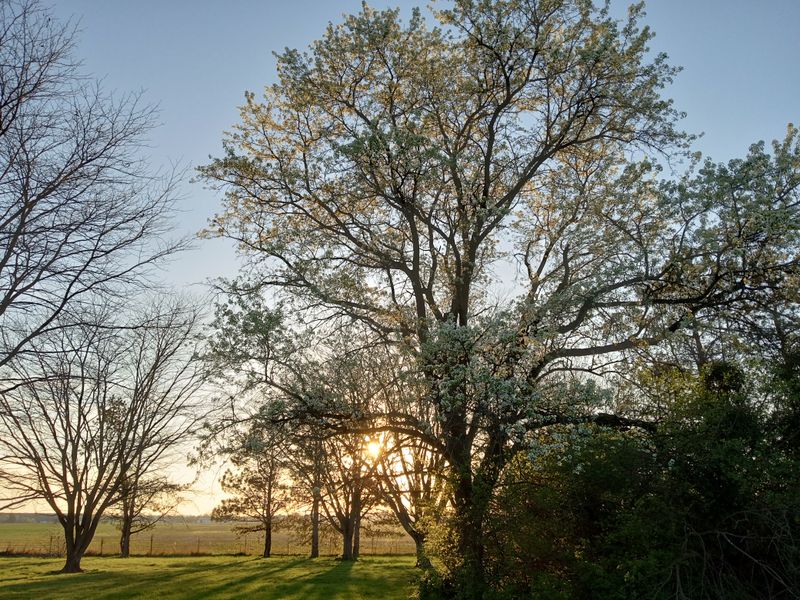 7 Pennsylvania Roads Locals Warn You Never To Drive On During Winter - Decor Hint Route 33