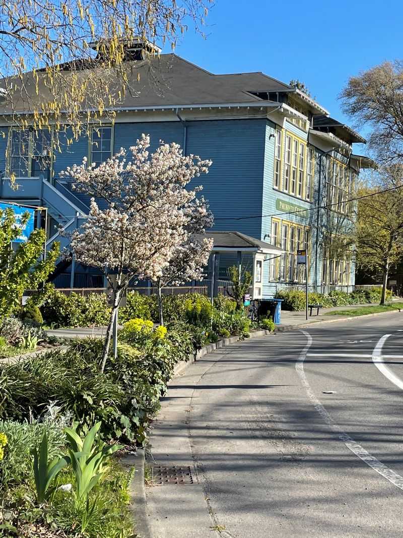 PhinneyWood's Winter Festival Brings Seattle, Washington Together For Seasonal Fun - Decor Hint Preview Night Offers Adult-Only Shopping Experience