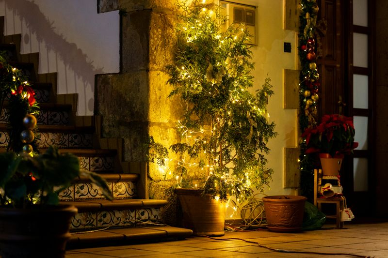 17 Porch Décor Tips That Bring Big Warmth To Colorado Homes In Winter - Decor Hint Potted Evergreen Trees Near Entrance