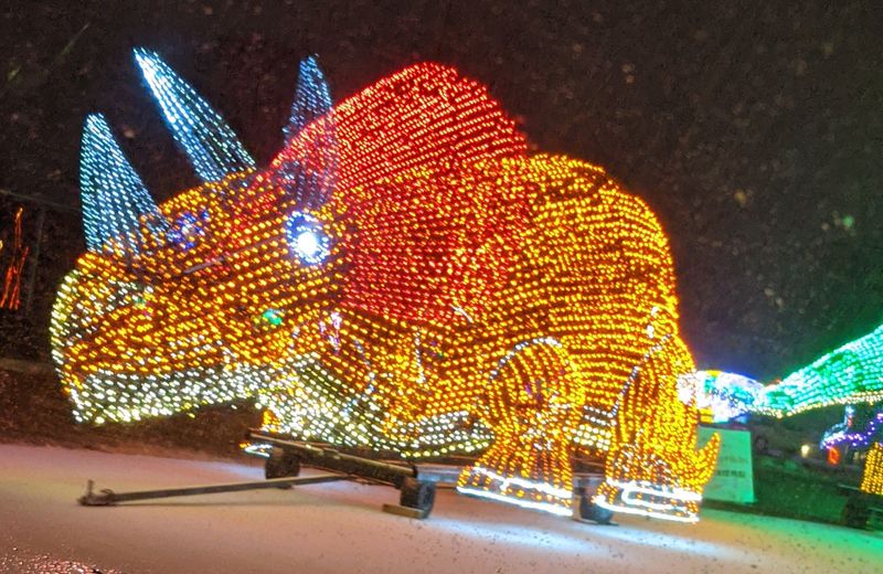 Greater Peoria Holiday Adventures Perfect For Family Friends Or Solo Fun - Decor Hint East Peoria Festival of Lights