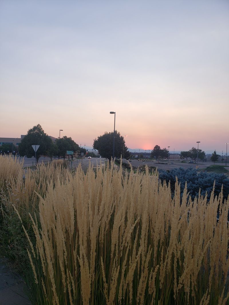 14 Affordable Florida Beach Towns Perfect For Escaping Winter Weather - Decor Hint Englewood