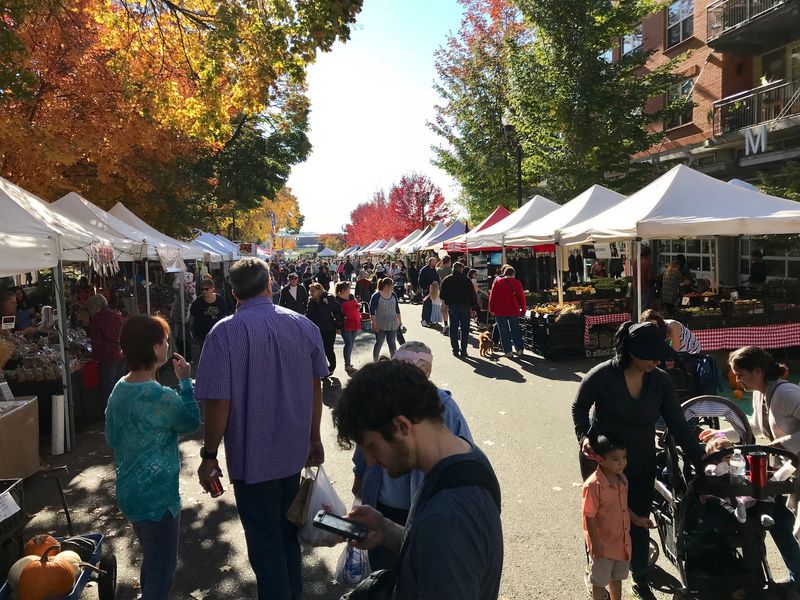 Local Washington Markets Offering Artisan Level Quality You Can Taste - Decor Hint Vancouver Farmers Market, Vancouver