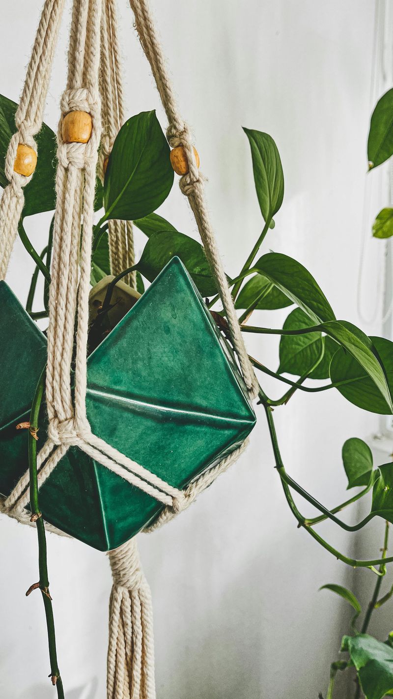 18 Florida Winter Porch Décor Ideas That Bring Coastal Charm To Cooler Months - Decor Hint Macrame Plant Hangers