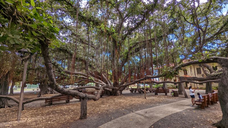 20 Hawaiian Beach Towns To Visit This Winter For Ideal Weather And Scenic Views - Decor Hint Lahaina, Maui