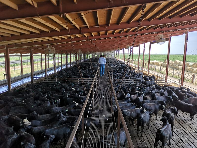 Iowa Premium, A National Beef