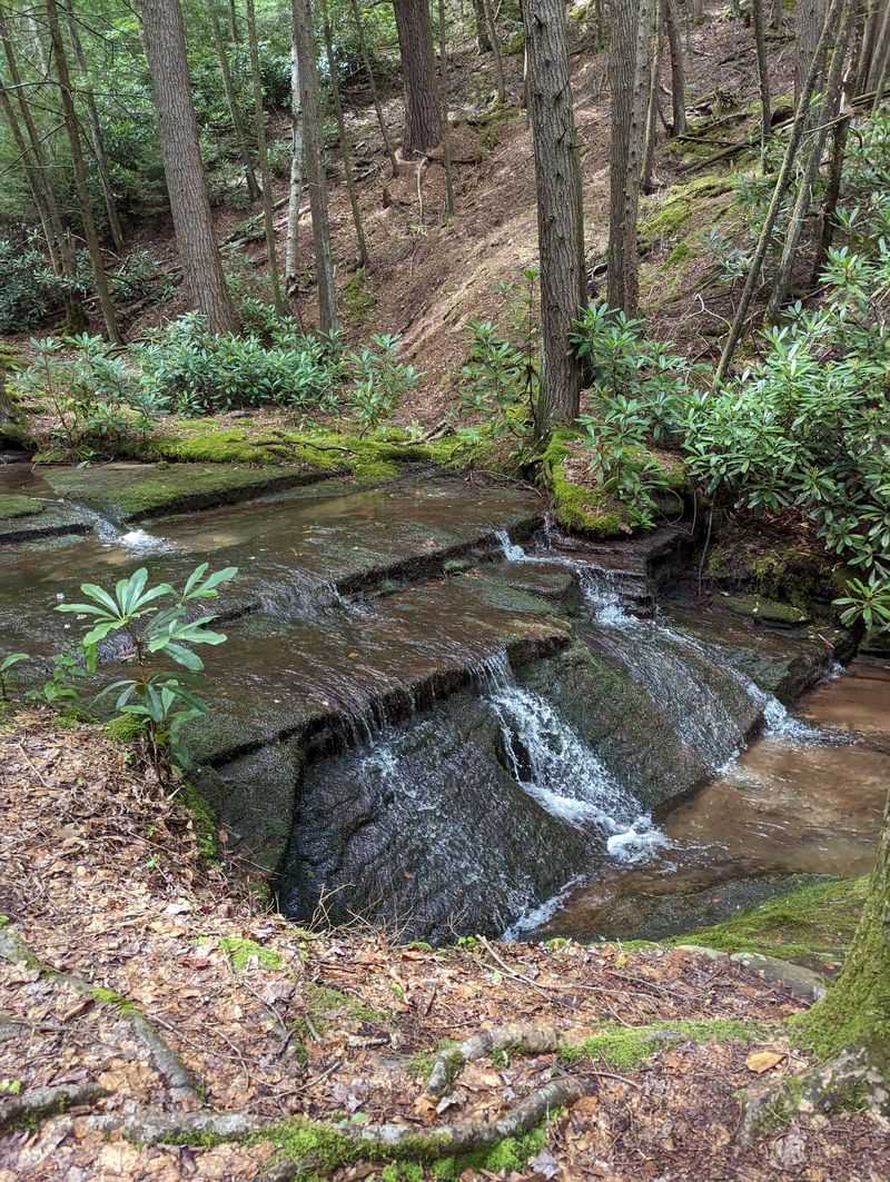 The Secret Pennsylvania Waterfall Trail Locals Try To Keep Quiet - Decor Hint Sproul State Forest Offers More Than Just One Waterfall