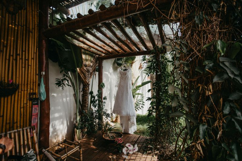 Invasive Bamboo Screens