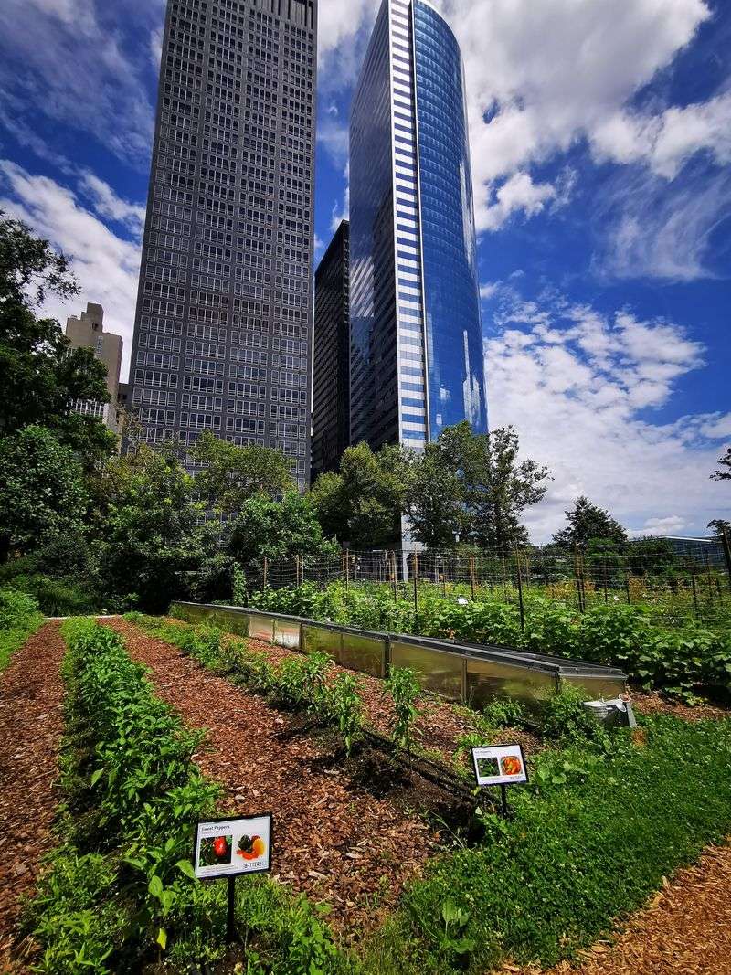 Discover NYC Like A Local: Sustainable Travel Trends You Can't Miss In 2026 - Decor Hint Green Rooftop And Urban Farm Tours