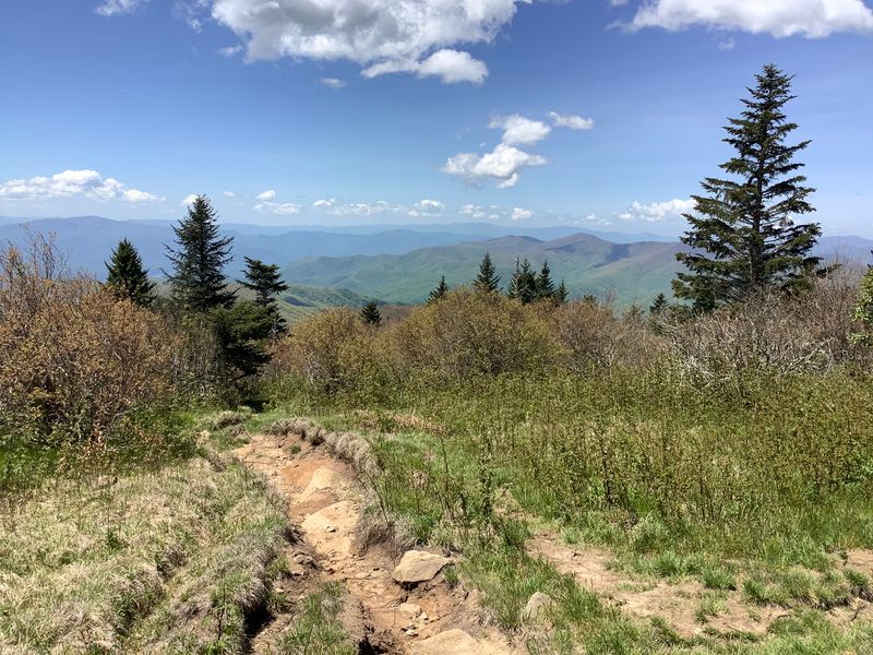Andrews Bald Trail