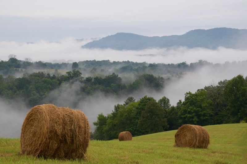 Well Being Retreat Center, Tennessee 