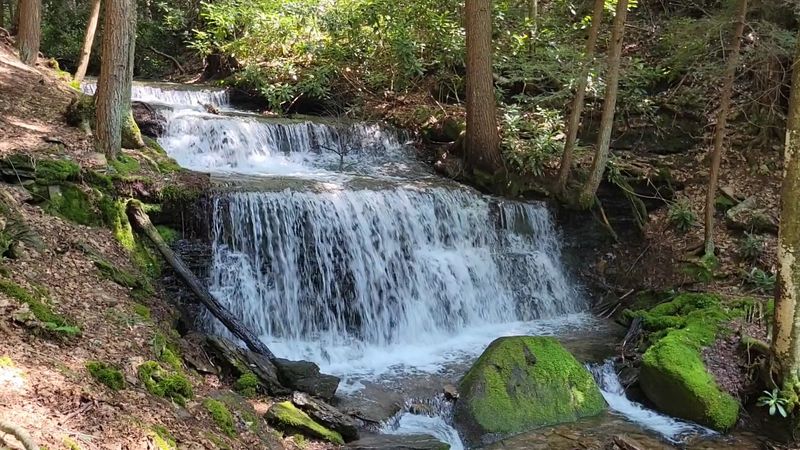 The Secret Pennsylvania Waterfall Trail Locals Try To Keep Quiet - Decor Hint Kyler Fork Falls Waits Just Downstream