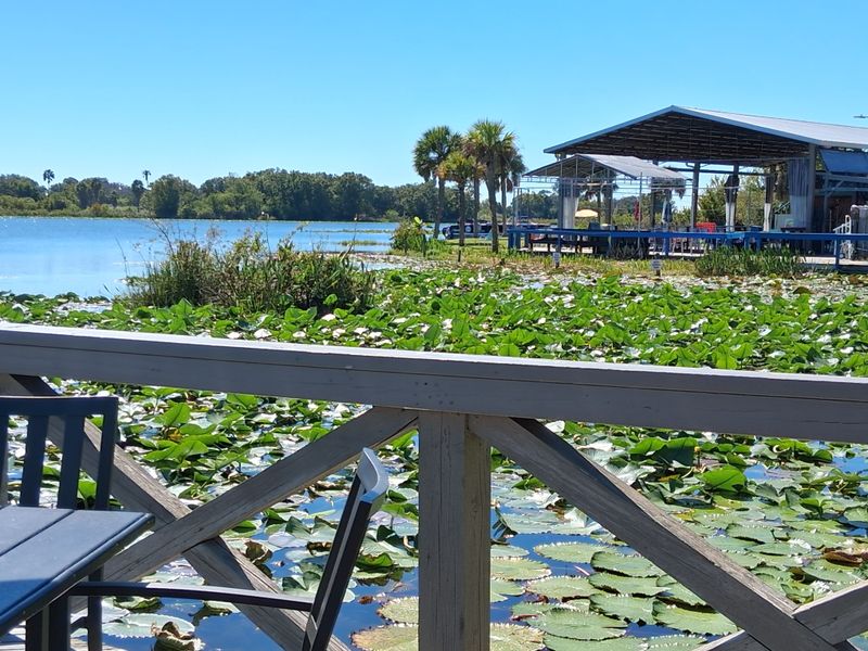 Lobster Roll Shacks In Wisconsin Where The Buttered Buns Never Disappoint - Decor Hint Lakeside Lobster Bar