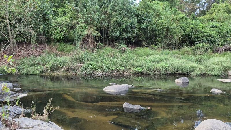 Little Sugar Creek Greenway