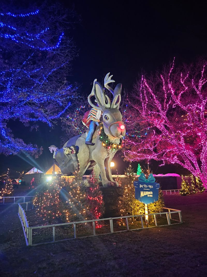 Austin Trail Of Lights Market