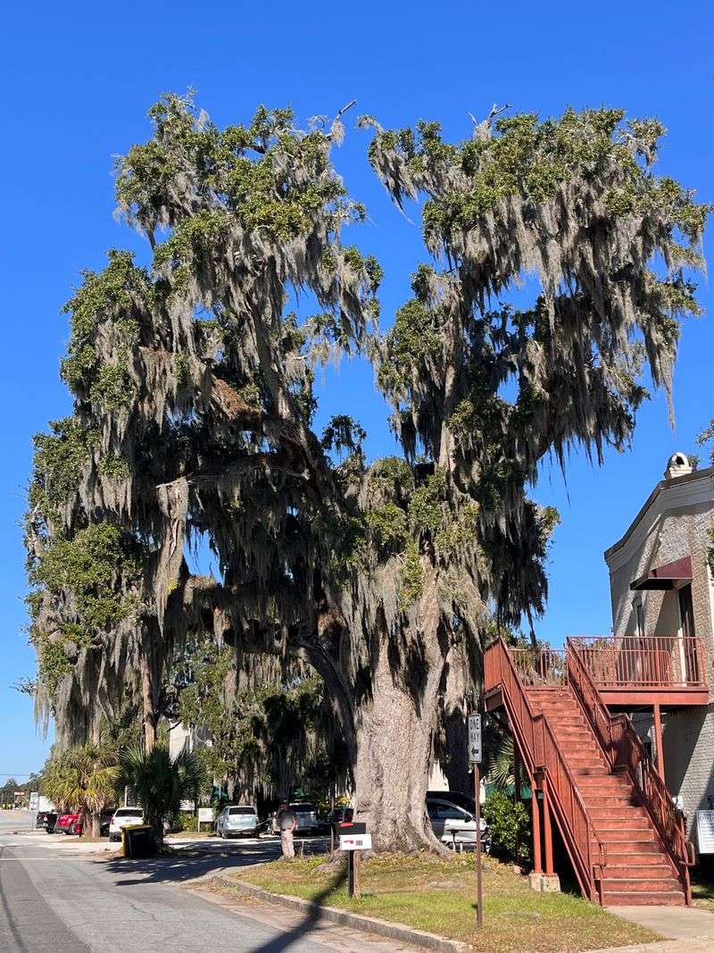 Historic Downtown District