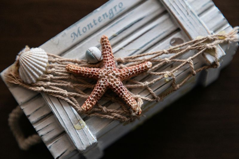 12 Delaware Coastal Christmas Décor Ideas Locals Swear By For A Serene Holiday Look - Decor Hint Nautical Rope Garland With Shells