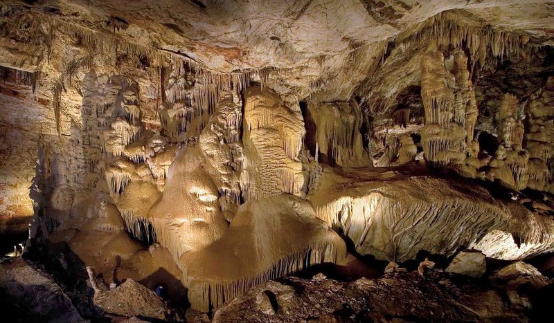 15 Arizona Tourist Traps Locals Won’t Touch (And The Desert Wonders You Can’t Miss) - Decor Hint The Thing Museum VS. Kartchner Caverns State Park