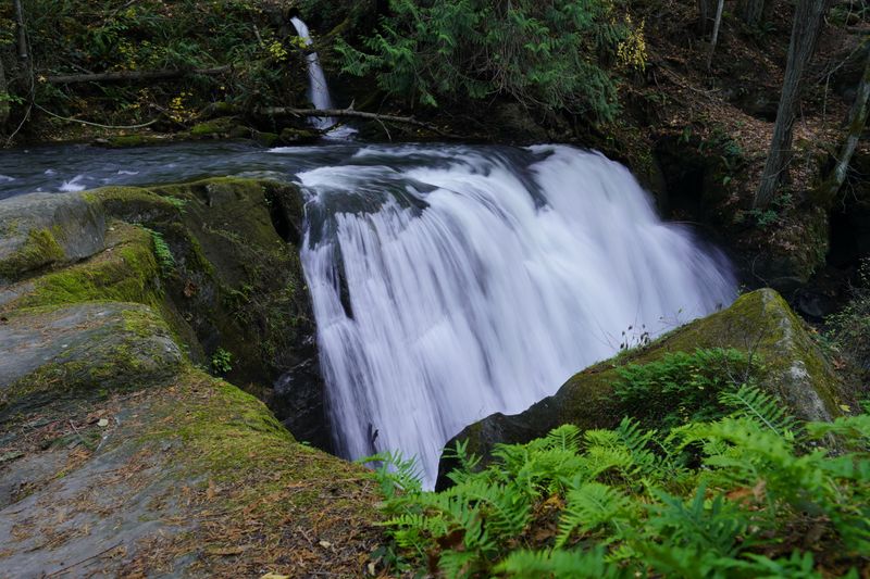 Exploring Bellingham: Where Pacific Northwest Life Comes Together - Decor Hint Whatcom Falls Park