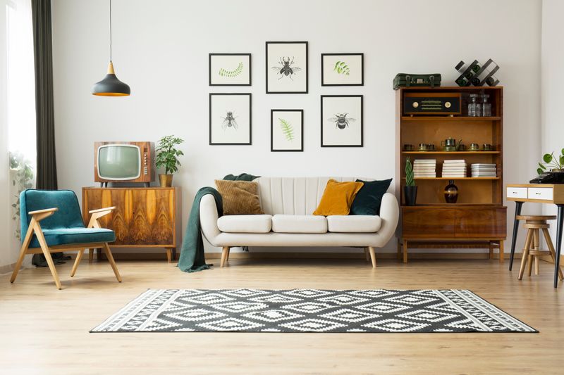 Rug Styles You'll See In Cozy Pennsylvania Living Rooms - Decor Hint Dhurrie Rugs