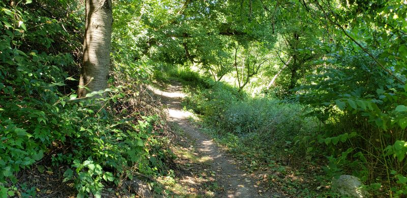 History Stretches Back To The 1970s