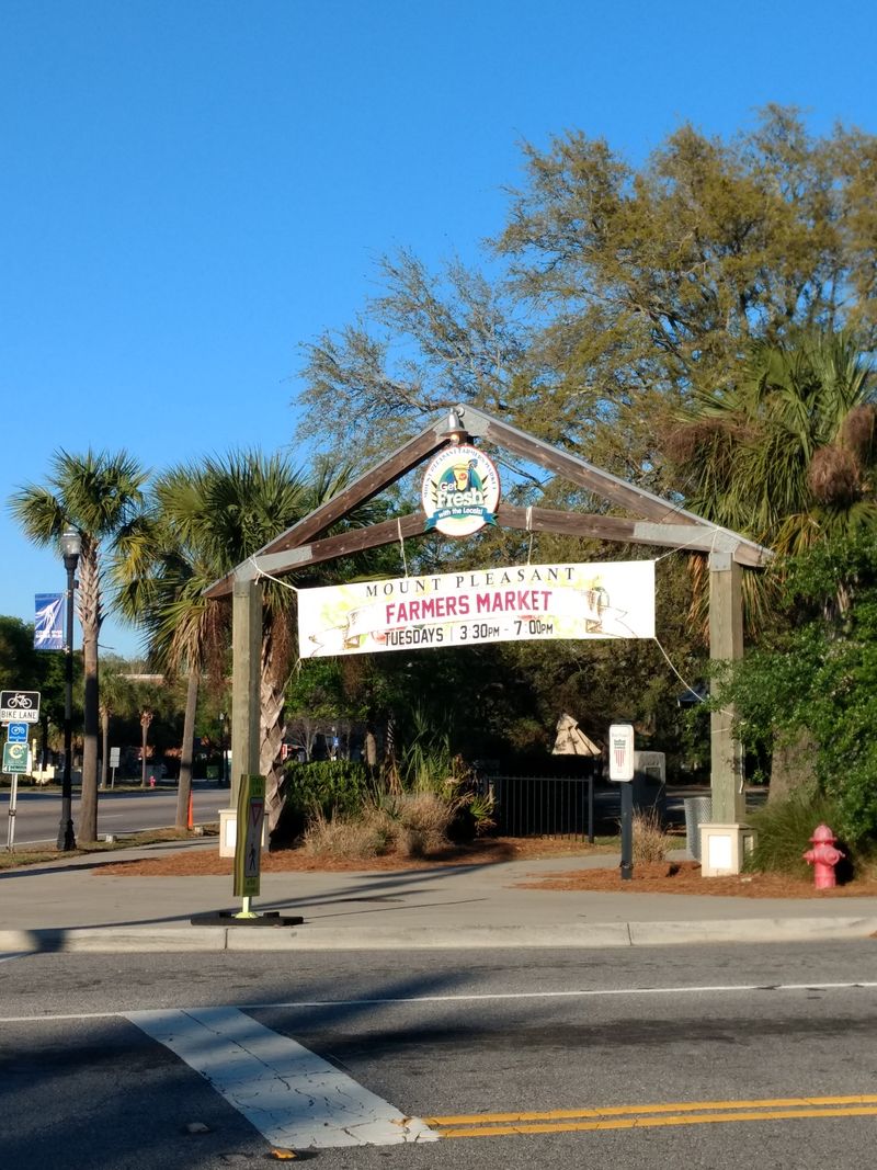 South Carolina Craft Fairs That Will Completely Transform Your Holiday Shopping - Decor Hint Mount Pleasant Holiday Market And Craft Show