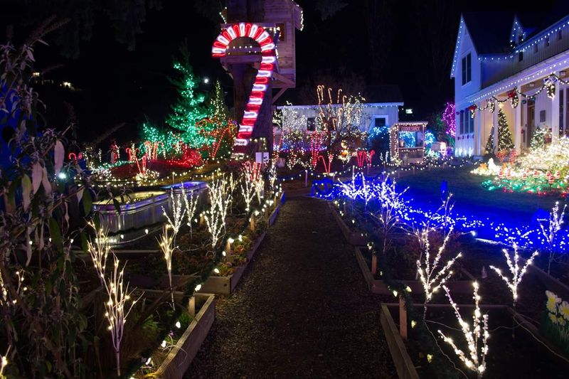 Washington's Most Jaw-Dropping Christmas Yard Displays - Decor Hint Oly Lightstravaganza In Olympia