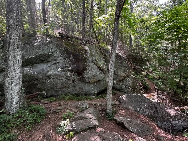 17 Georgia Overlooks Offering Stunning Views Locals Can't Get Enough Of - Decor Hint Vogel State Park Overlook