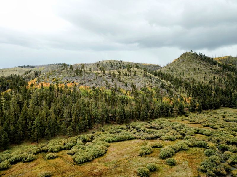 Arizona's Peaceful Mountain Escape Where Locals Go To Unwind - Decor Hint Wildlife Encounters In Natural Habitat