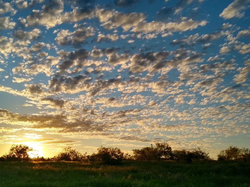 Maryland Butchers Keeping Local Traditions Alive With Fresh Flavorful Cuts - Decor Hint Richardson Farms