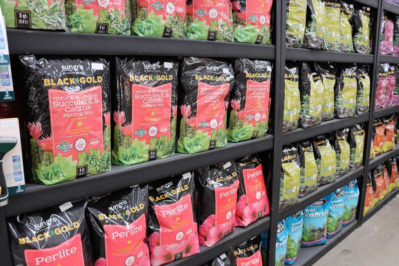 How Floridians Are Getting Their Christmas Cactus To Bloom Like Crazy - Decor Hint Give Them The Right Dirt