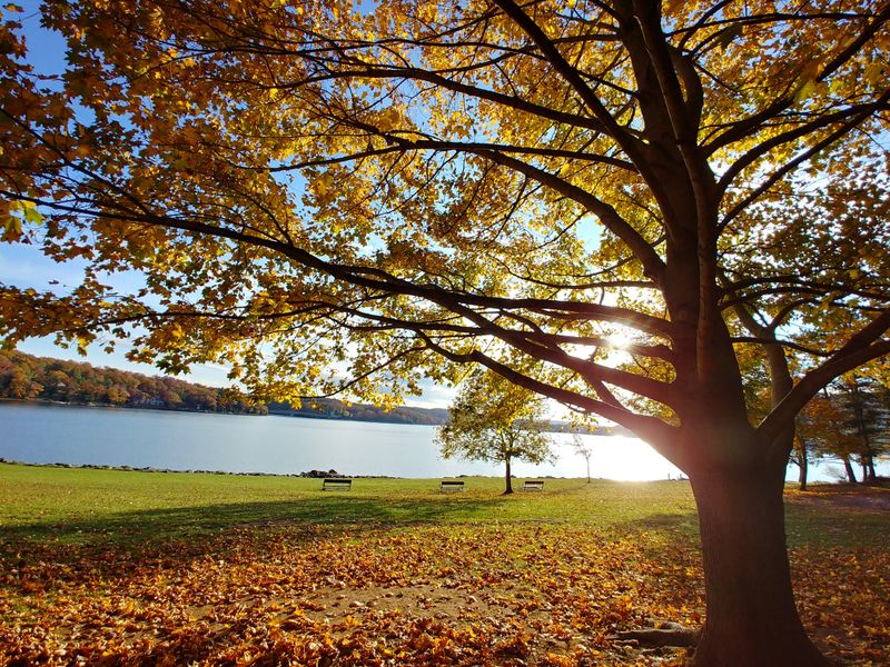The Secret Maryland Lake Locals Try To Keep Off Social Media - Decor Hint Tourism Hub That Powers Garrett County's Economy