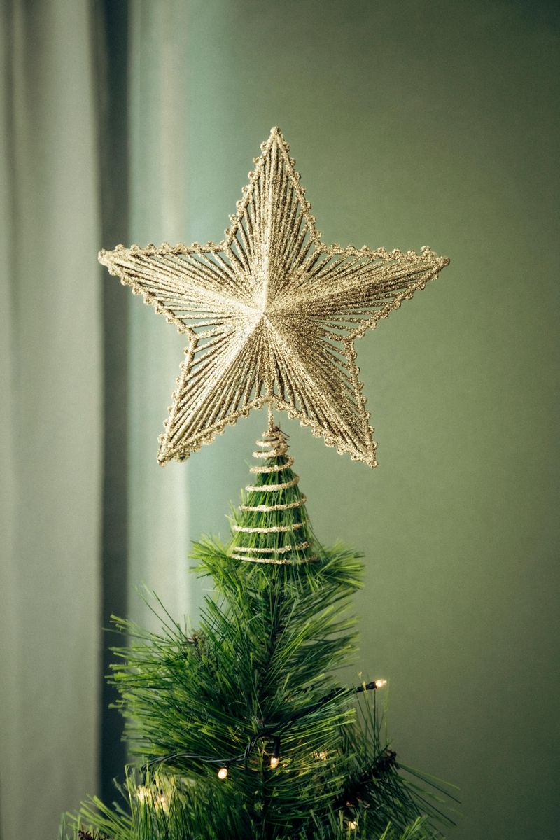 Stunning Hawaii Coastal Christmas Décor Ideas For A Holiday That Feels Like A Tropical Escape - Decor Hint Starfish Tree Topper