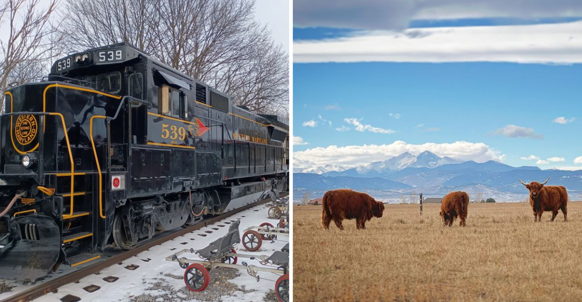 Stunning Winter Scenes Youll Catch Aboard The Western Maryland Scenic Railroad - Decor Hint