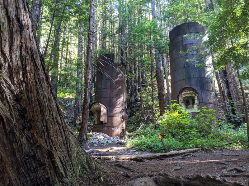 16 California Secrets Locals Keep Quiet Because They're Just That Good - Decor Hint Limekiln State Park