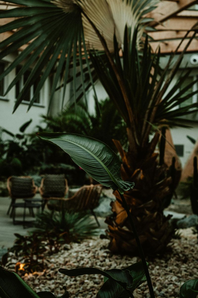 Biophilic Design Principles