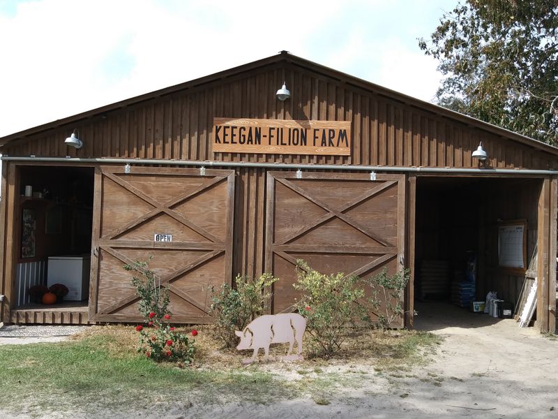 13 South Carolina Butcher Shops Where The Meats Alone Justify The Road Trip - Decor Hint Keegan-Filion Meat Market