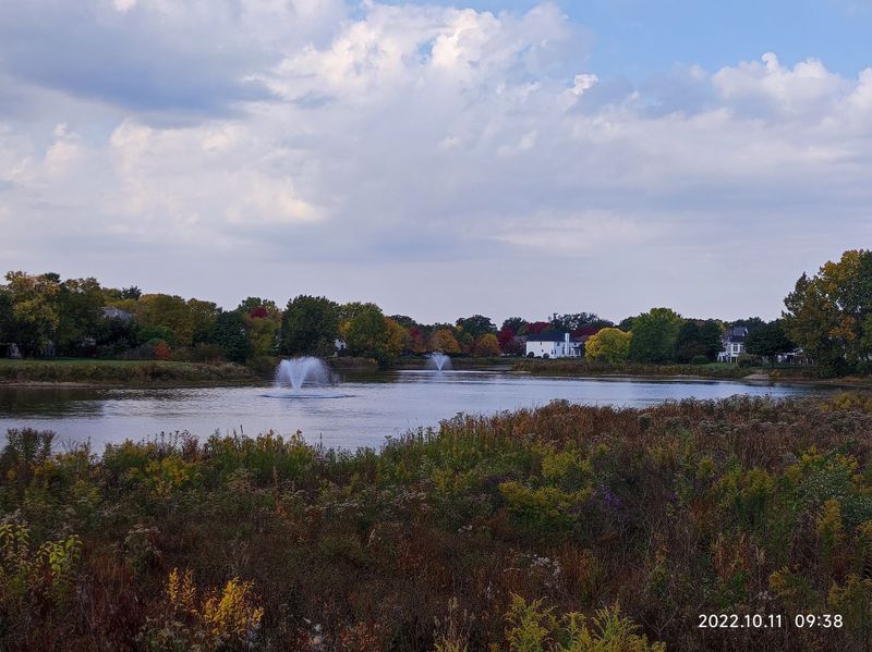 Century Farms (Naperville)
